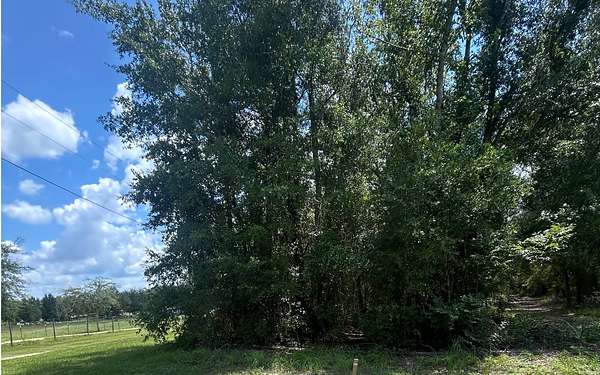 5 Acres of Residential Land for Sale in Live Oak, Florida