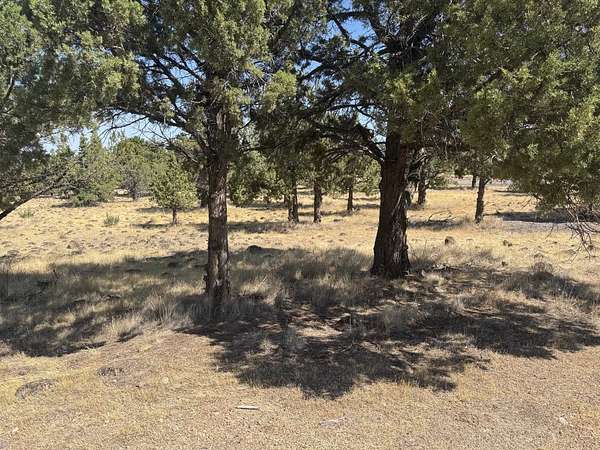 0.26 Acres of Residential Land for Sale in Weed, California