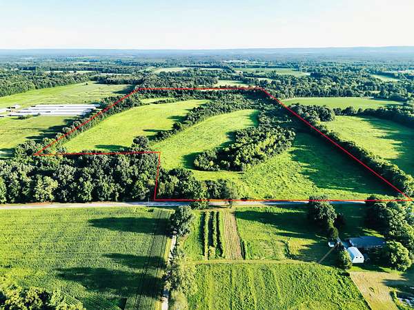 68 Acres of Land for Sale in Mount Hope, Alabama