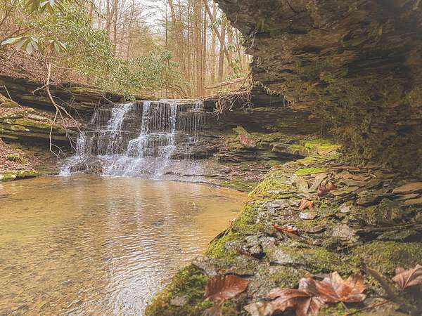70 Acres of Recreational & Residential Land for Sale in Wartburg, Tennessee