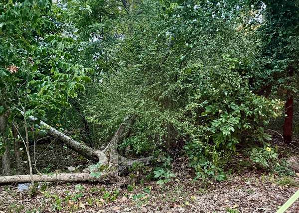 0.41 Acres of Residential Land for Sale in Little Rock, Arkansas