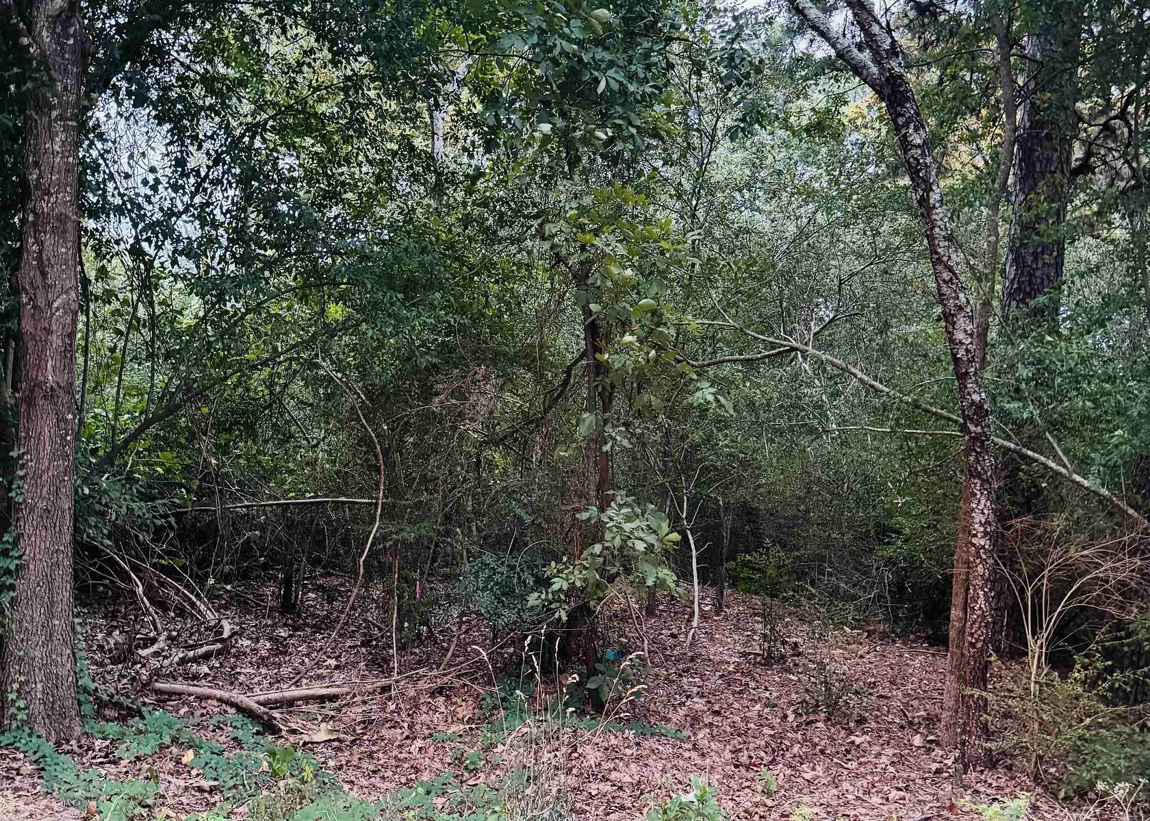0.46 Acres of Residential Land for Sale in Little Rock, Arkansas