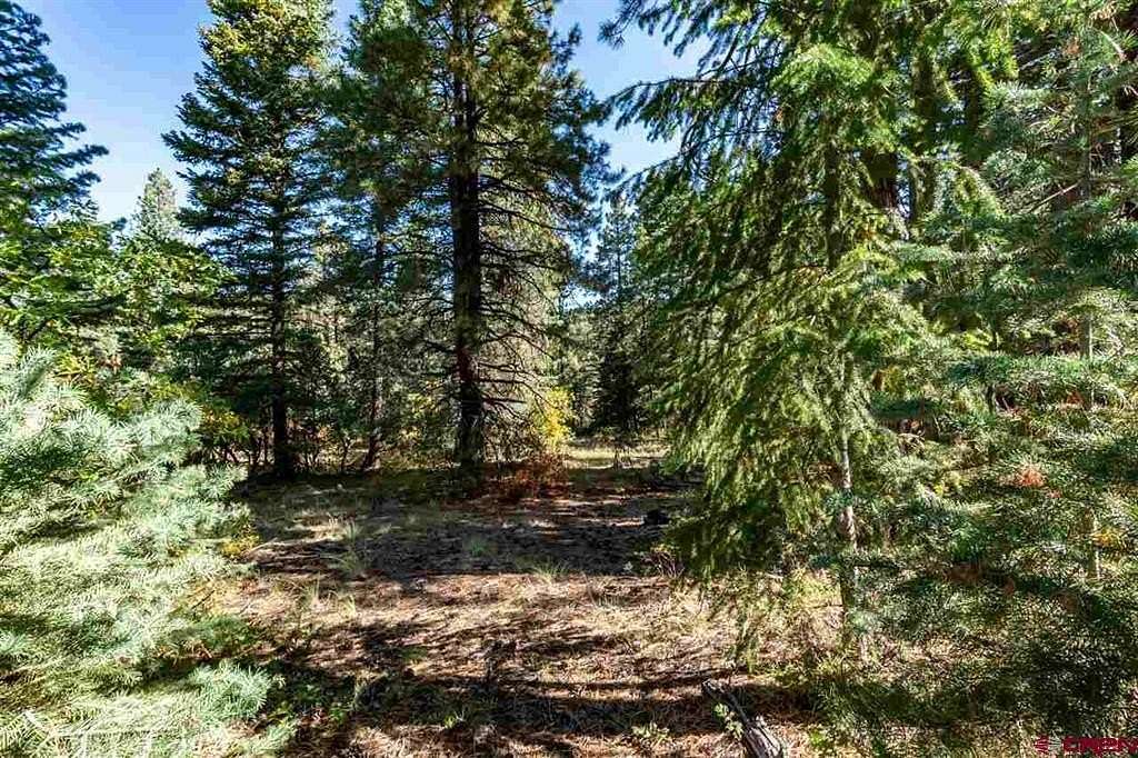 35 Acres of Recreational Land for Sale in Pagosa Springs, Colorado
