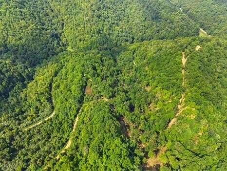 18 Acres of Recreational & Residential Land for Sale in Whitesburg, Kentucky