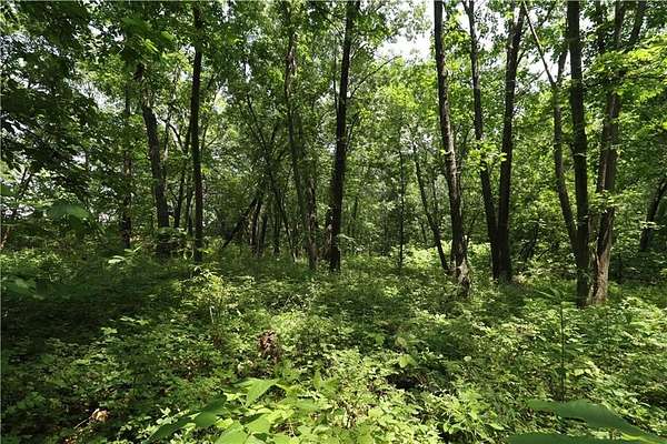 9.83 Acres of Residential Land for Sale in Baldwin City, Kansas