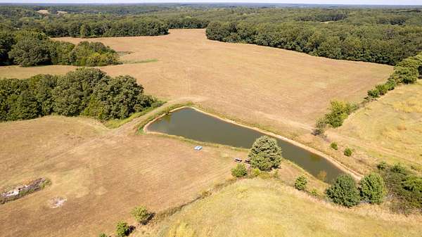 67 Acres of Recreational & Residential Land for Sale in Fordland, Missouri