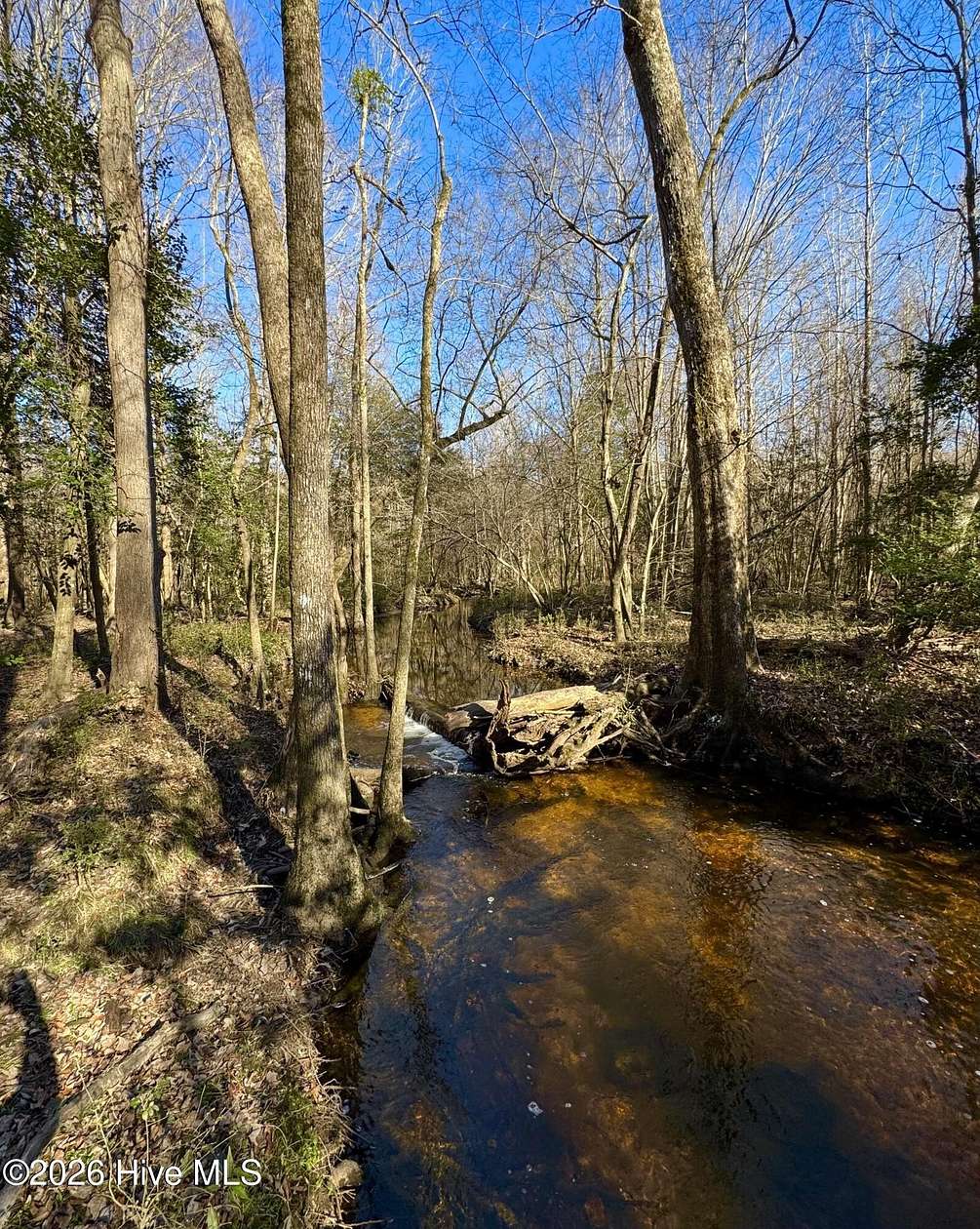36.5 Acres of Recreational & Residential Land for Sale in Kenly, North Carolina