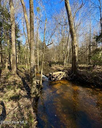 36.5 Acres of Recreational & Residential Land for Sale in Kenly, North Carolina