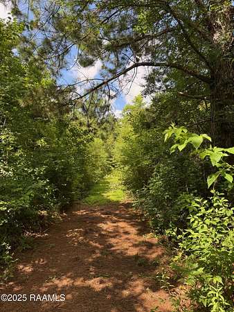 3 Acres of Residential Land for Sale in Arnaudville, Louisiana