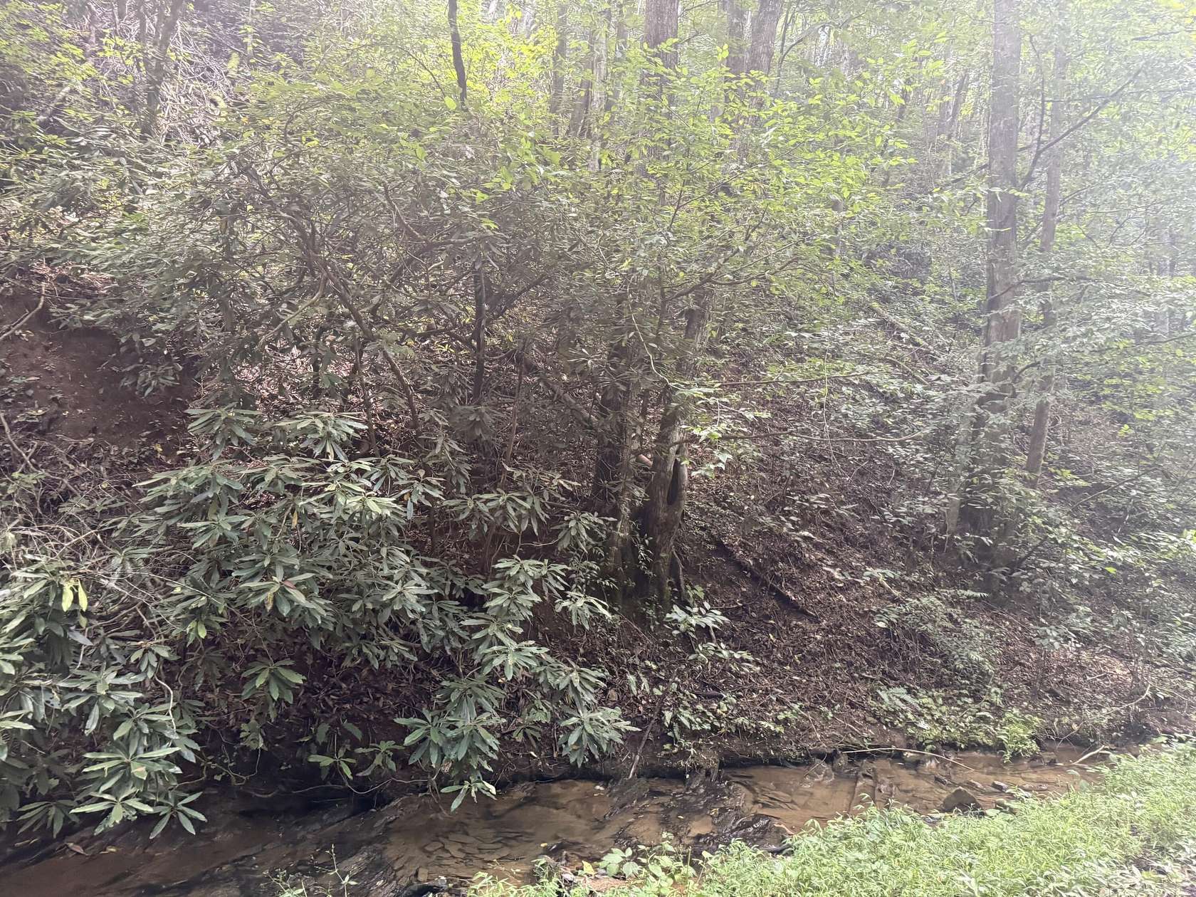 2 Acres of Land for Sale in Pigeon Forge, Tennessee