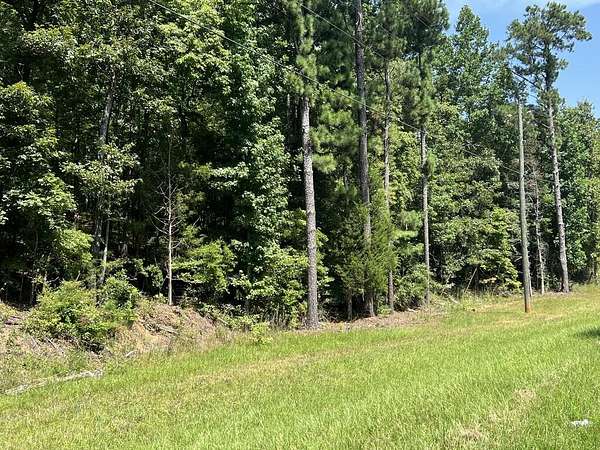 3 Acres of Residential Land for Sale in West Point, Georgia