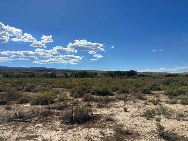 23.2 Acres of Mixed-Use Land for Sale in Whitewater, Colorado