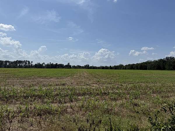 18 Acres of Land for Sale in Brinson, Georgia