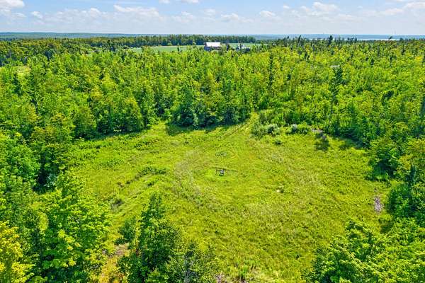 10 Acres of Recreational & Residential Land for Sale in Hillman, Michigan