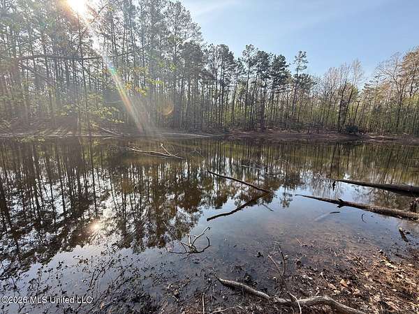 155 Acres of Recreational & Residential Land for Sale in Grenada, Mississippi