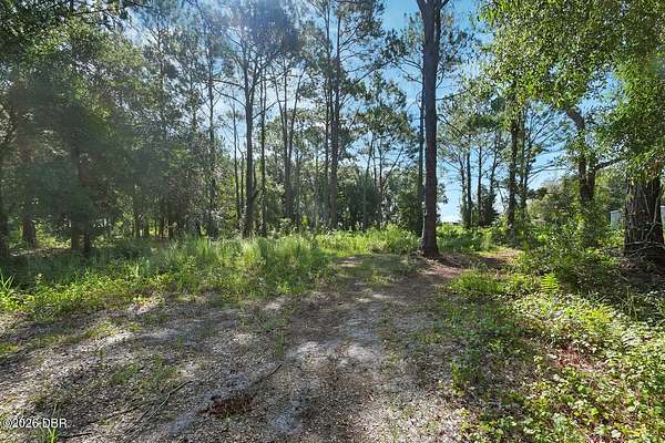 2.5 Acres of Residential Land for Sale in Bunnell, Florida
