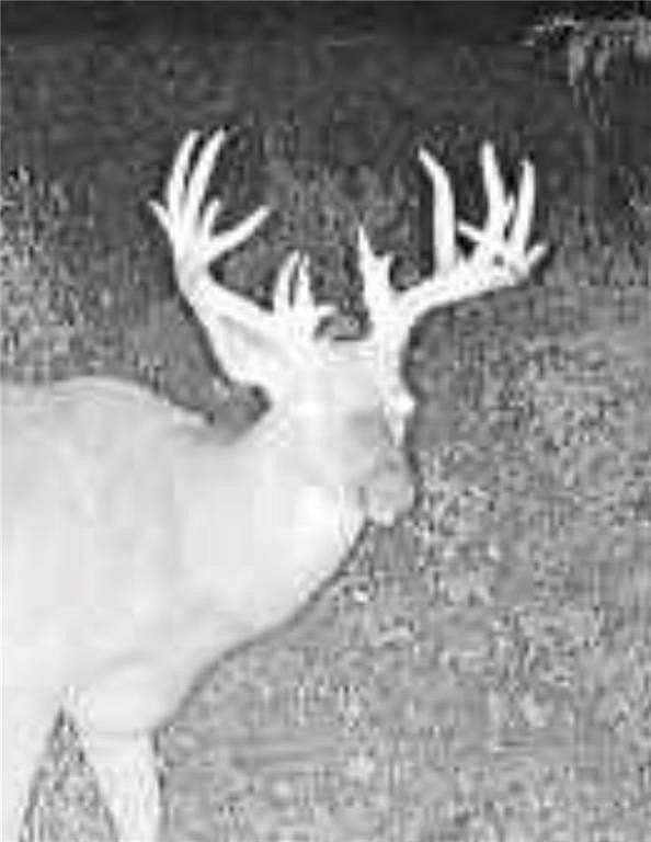 80 Acres of Recreational Land with Home for Sale in Paola, Kansas