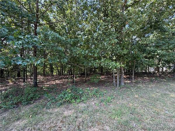 0.27 Acres of Residential Land for Sale in Village of Four Seasons, Missouri