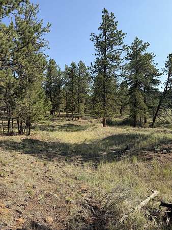 1.27 Acres of Residential Land for Sale in Westcliffe, Colorado