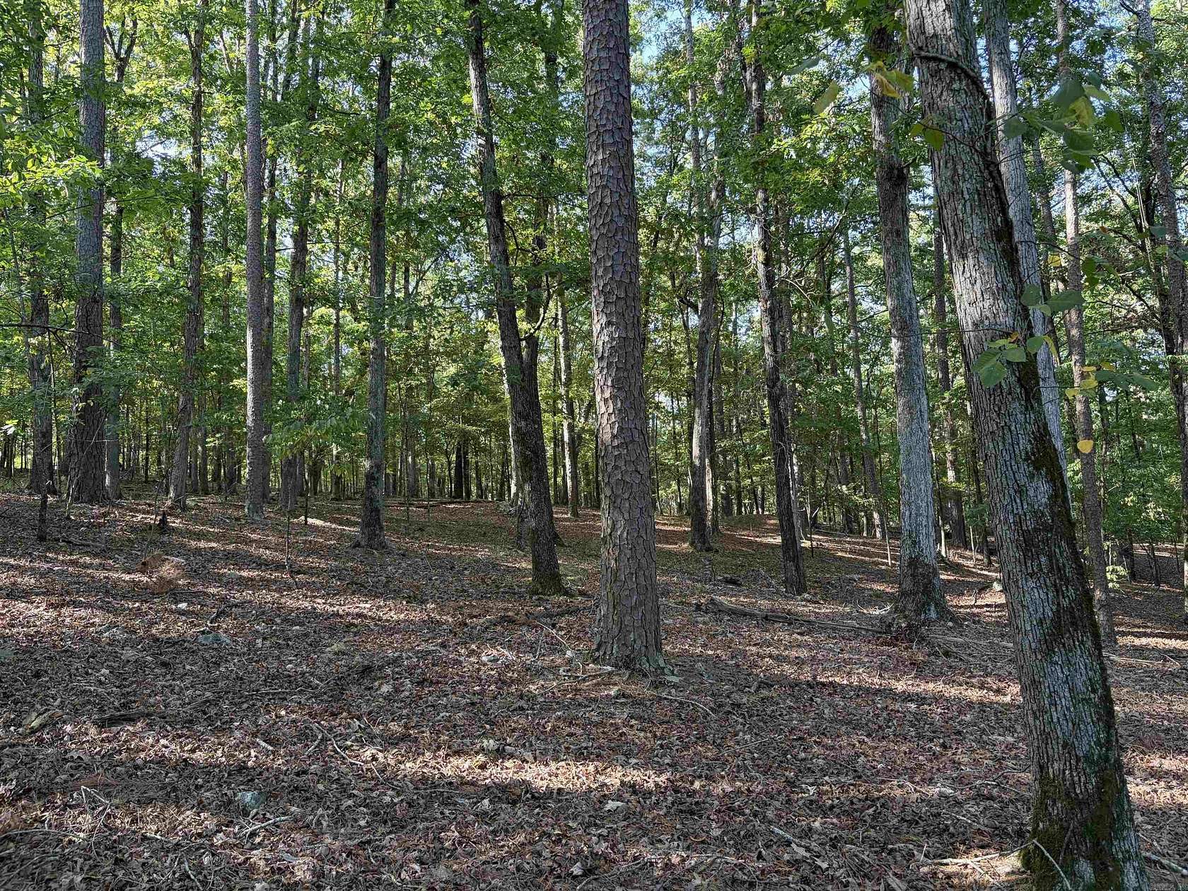 1.69 Acres of Residential Land for Sale in Mount Ida, Arkansas