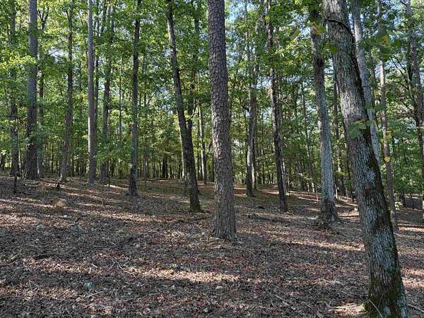 1.69 Acres of Residential Land for Sale in Mount Ida, Arkansas