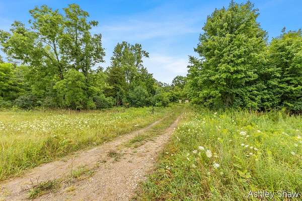 35.2 Acres of Recreational & Residential Land for Sale in Allegan, Michigan
