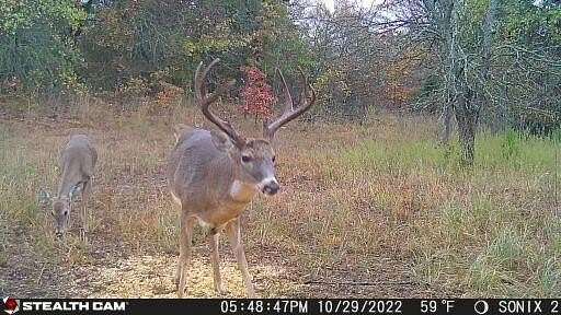 80 Acres of Land for Sale in Wewoka, Oklahoma