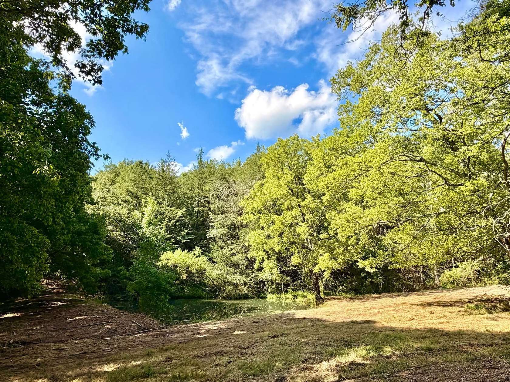15.5 Acres of Recreational & Residential Land for Sale in Prospect, Tennessee