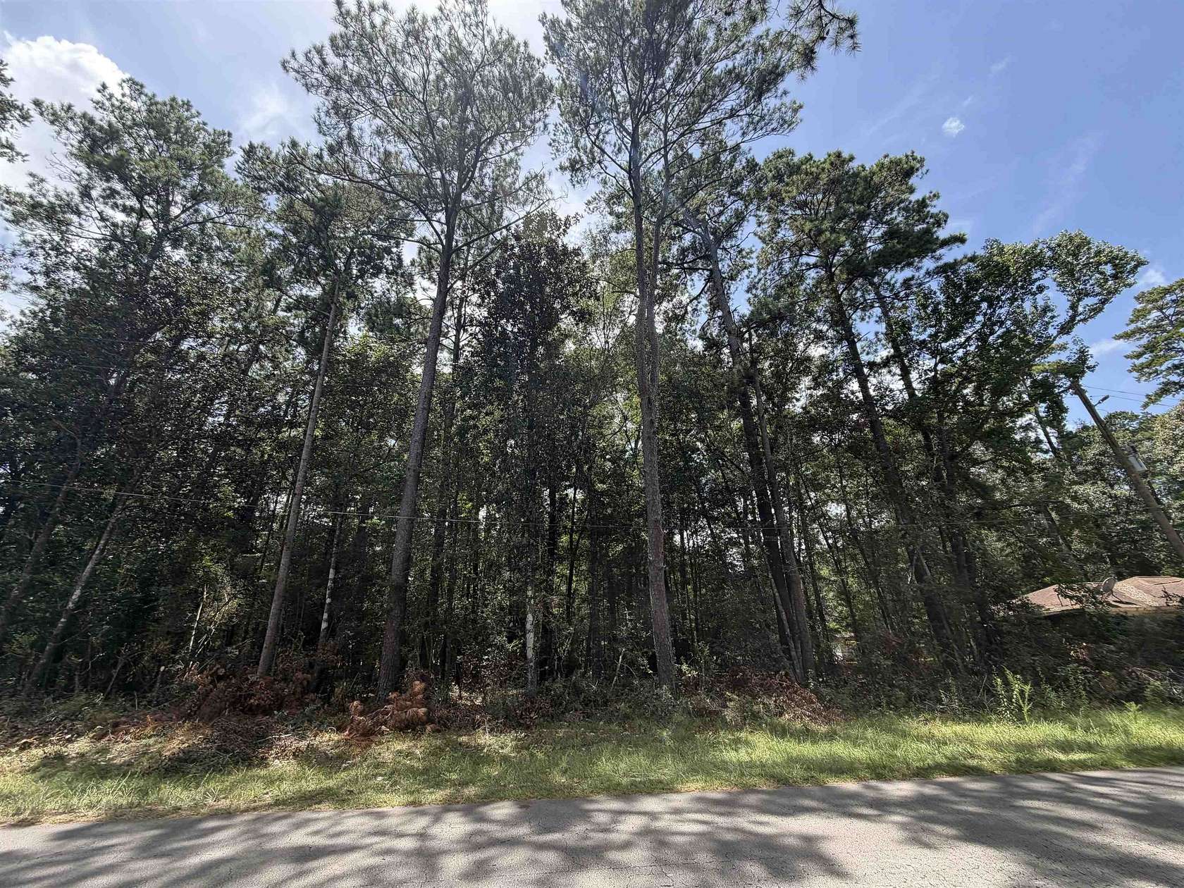 0.28 Acres of Residential Land for Sale in Village Mills, Texas