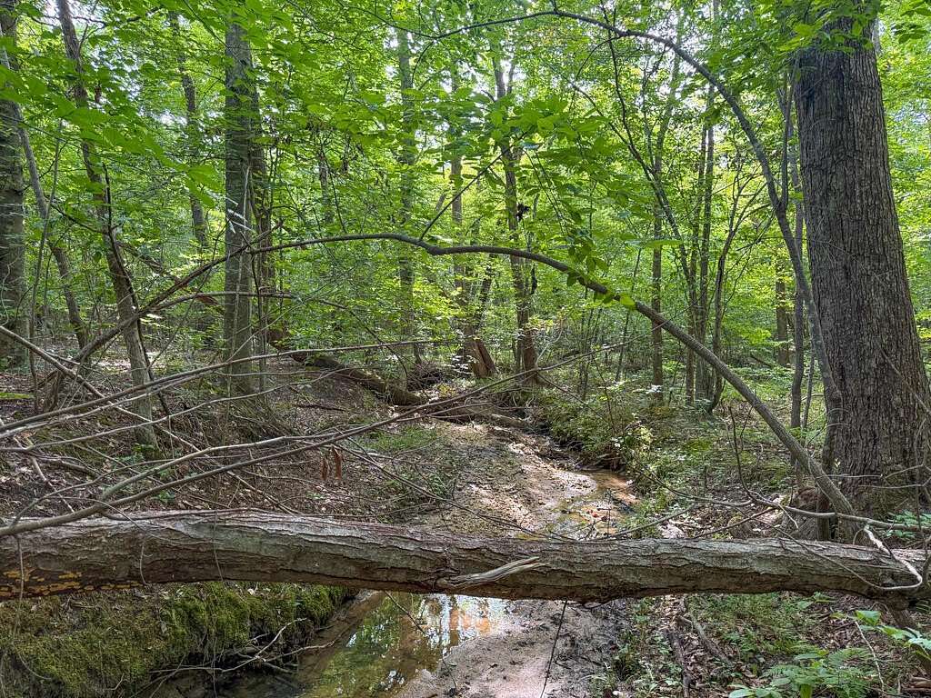 55.5 Acres of Recreational & Residential Land for Sale in Victoria, Virginia