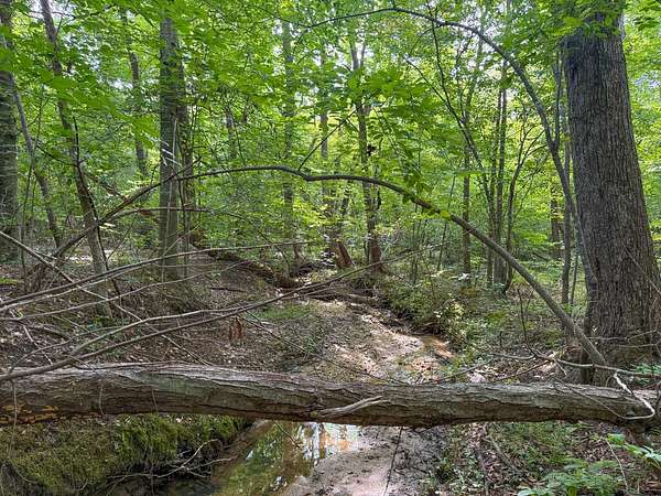 55.5 Acres of Recreational & Residential Land for Sale in Victoria, Virginia