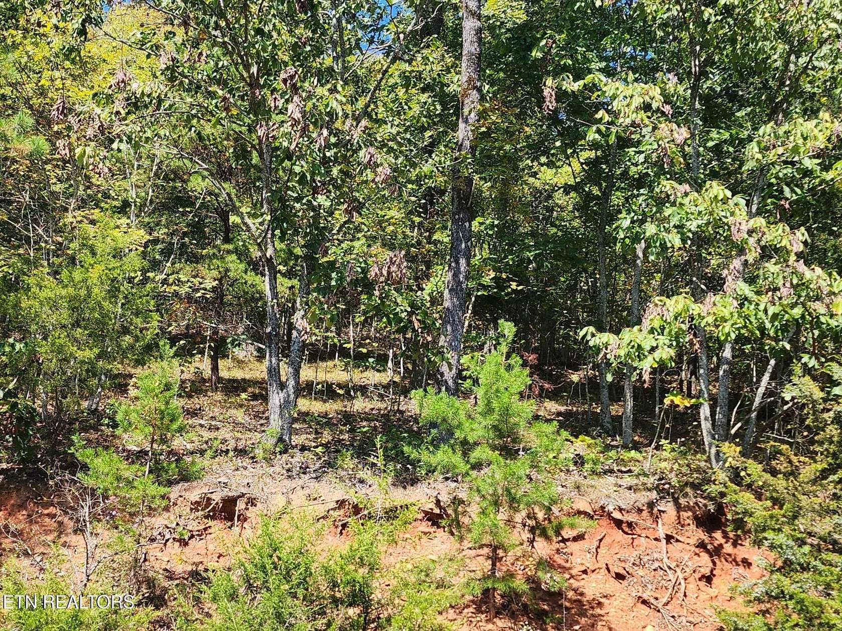 2.37 Acres of Residential Land for Sale in New Tazewell, Tennessee