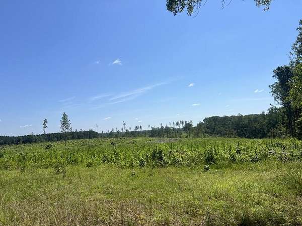 41 Acres of Land for Sale in Crystal Hill, Virginia