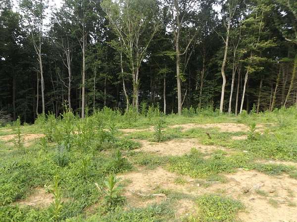 0.91 Acres of Residential Land for Sale in Hillsville, Virginia