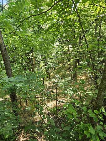 3 Acres of Land for Sale in Mount Solon, Virginia