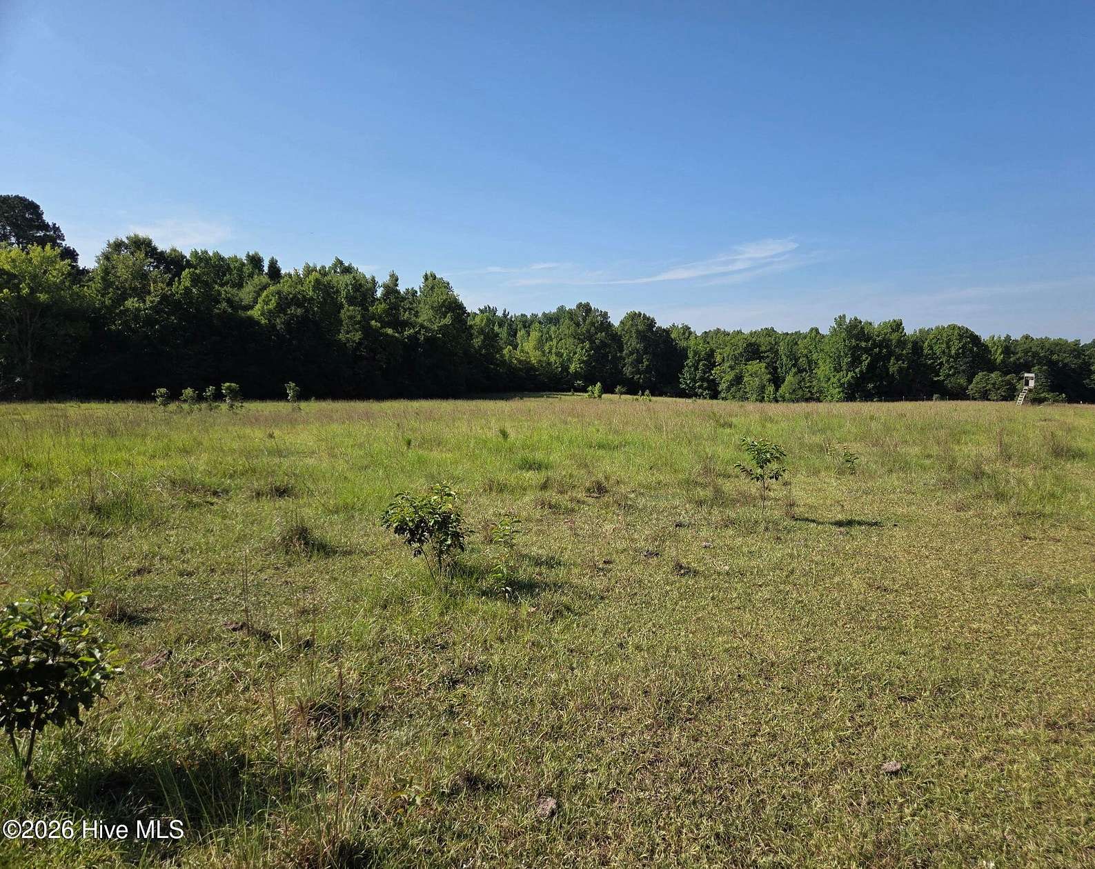 40.4 Acres of Land for Sale in Norwood, Georgia