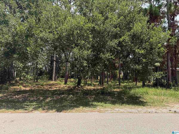 0.31 Acres of Land for Sale in Dauphin Island, Alabama