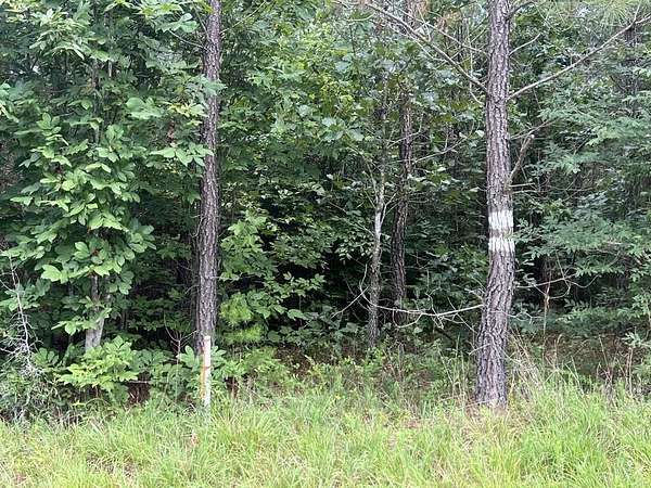 91.8 Acres of Land for Sale in Randolph, Virginia