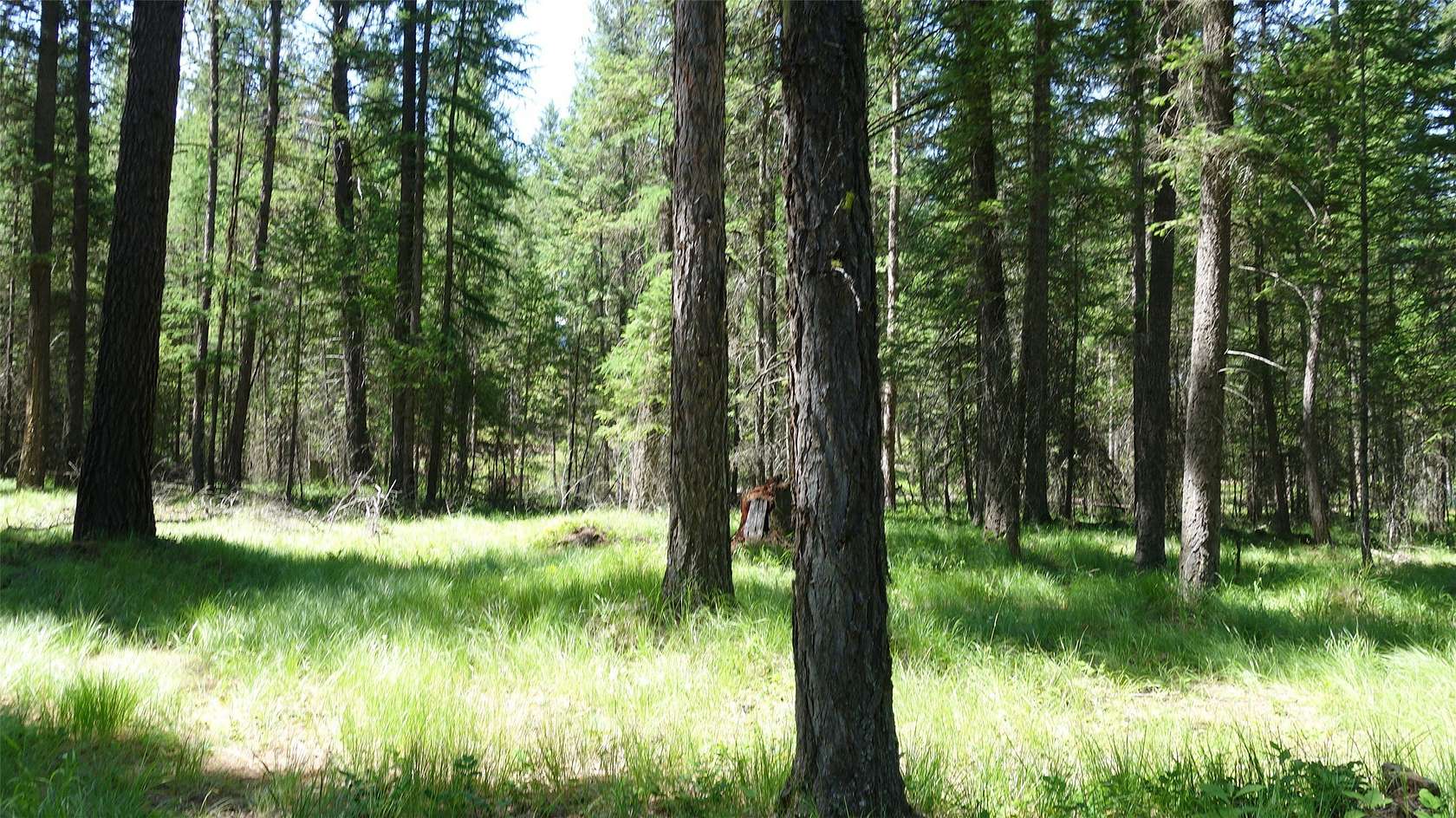 4.28 Acres of Residential Land for Sale in Libby, Montana