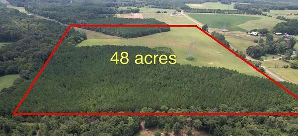48 Acres of Land for Sale in Headland, Alabama