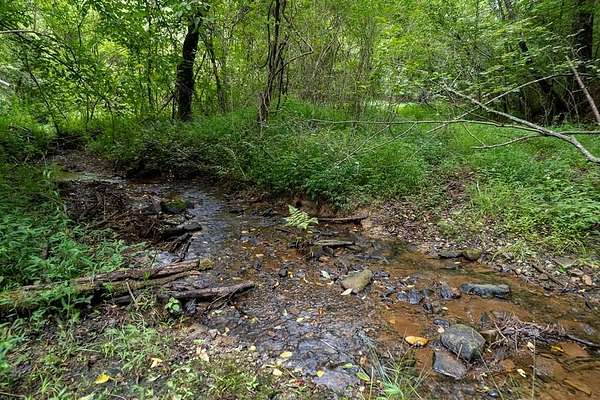 13.6 Acres of Recreational & Residential Land for Sale in Ellijay, Georgia