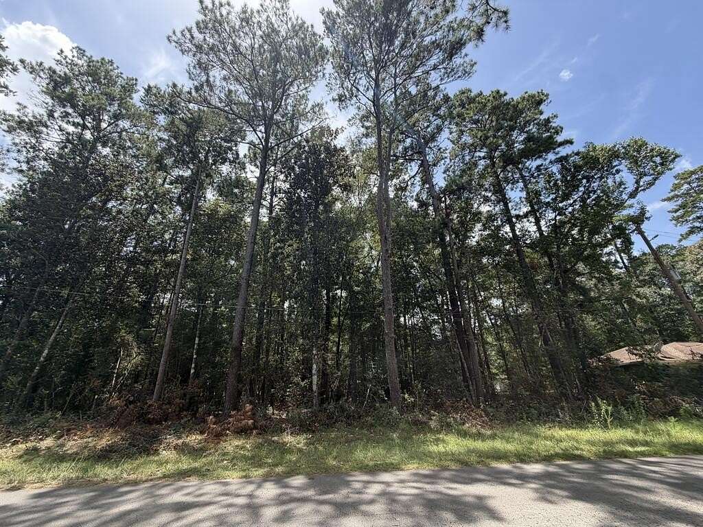 0.28 Acres of Land for Sale in Village Mills, Texas