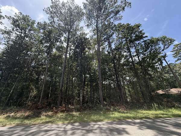 0.28 Acres of Land for Sale in Village Mills, Texas