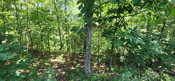 0.8 Acres of Land for Sale in Holladay, Tennessee