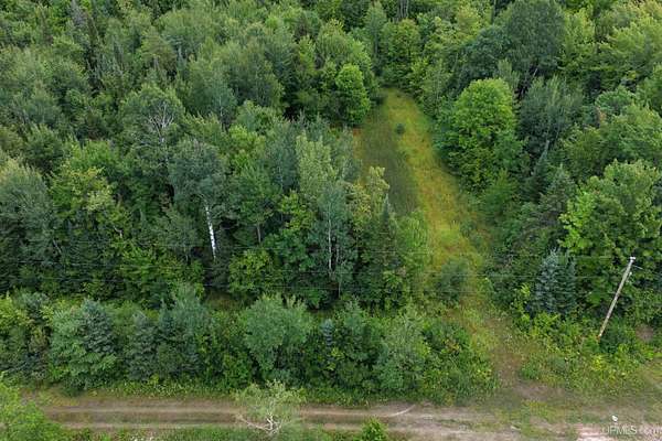 40 Acres of Recreational Land for Sale in White Pine, Michigan
