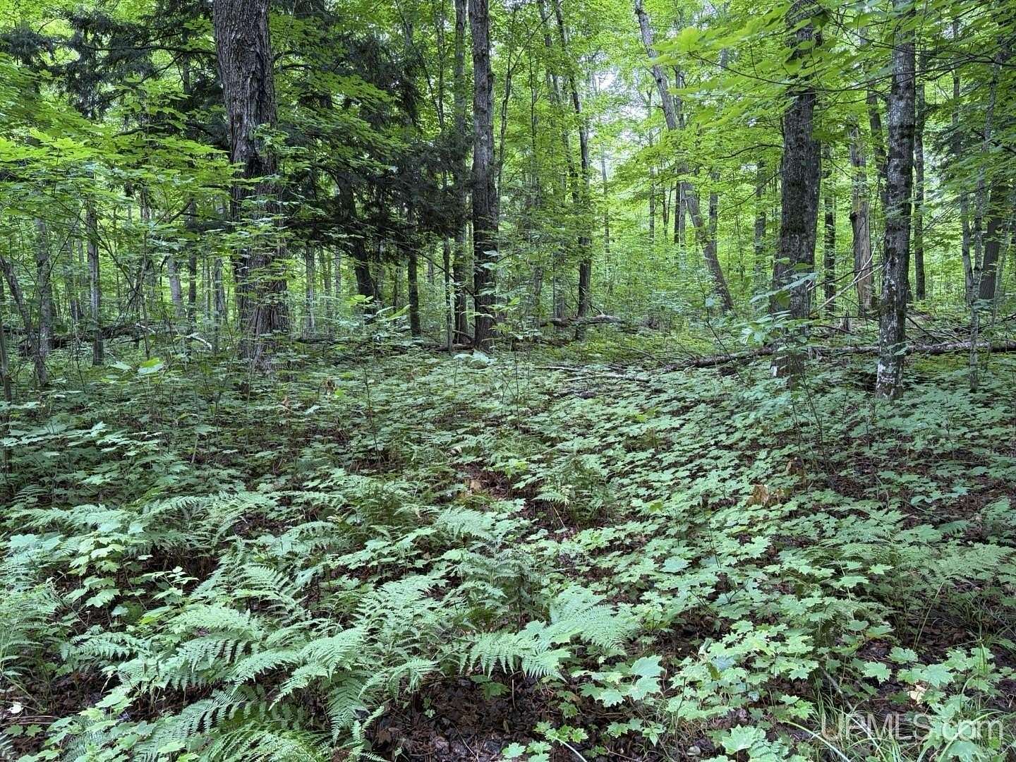 10 Acres of Recreational & Residential Land for Sale in Skanee, Michigan