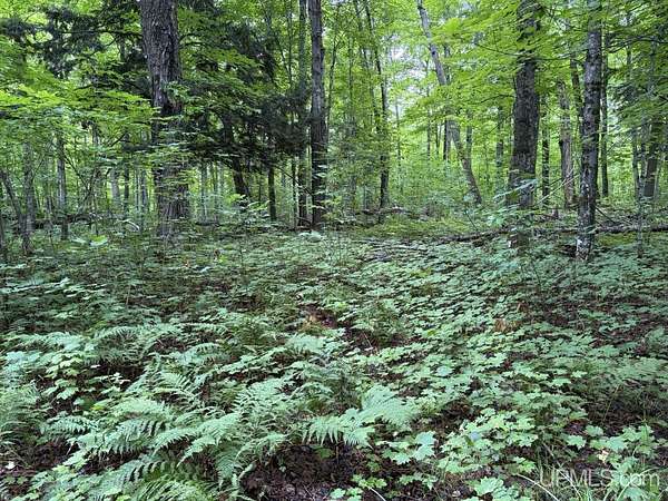 10 Acres of Recreational & Residential Land for Sale in Skanee, Michigan