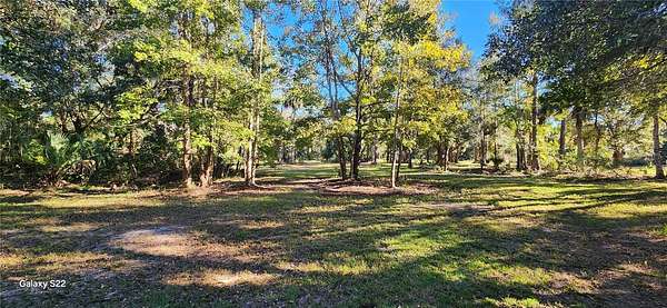 5 Acres of Residential Land for Sale in Bunnell, Florida