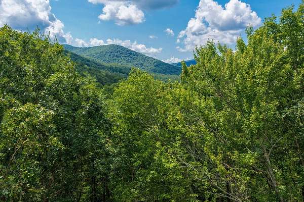 2.54 Acres of Land with Home for Sale in Ellijay, Georgia