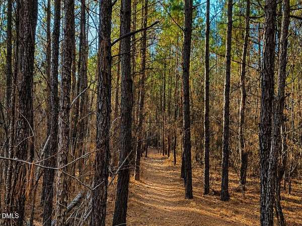 17.7 Acres of Land for Sale in Creedmoor, North Carolina